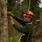 qualified-tree-surgeon-in-kent-0349