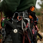 qualified-tree-surgeon-in-kent-0357