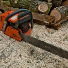 qualified-tree-surgeon-in-kent-0365