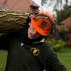qualified-tree-surgeon-in-kent-0372