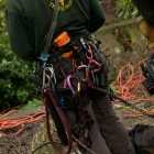 qualified-tree-surgeon-in-kent-0603