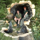 kent-tree-surgeons-large